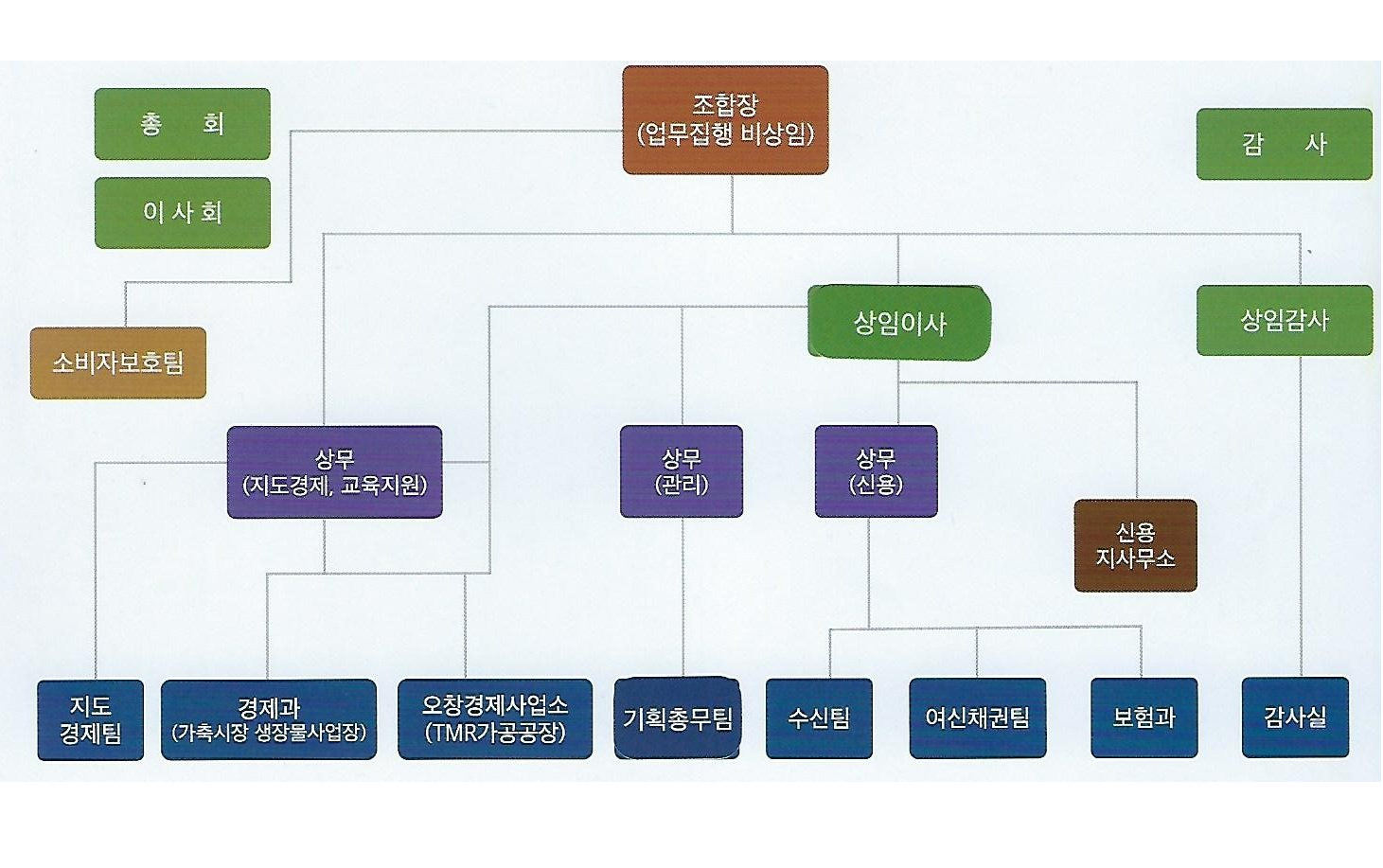  조직현황